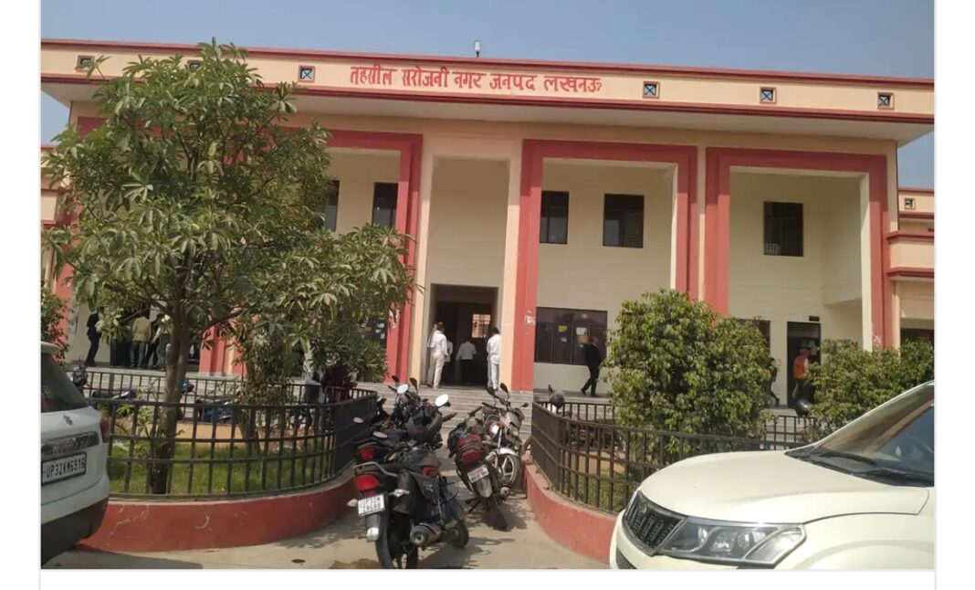 सेवई की जमीन गटा 615,537 और 780 के सरकारी खतौनी बनाम निजी सजरा: नामांतरण आदेश पर उठे गंभीर सवाल